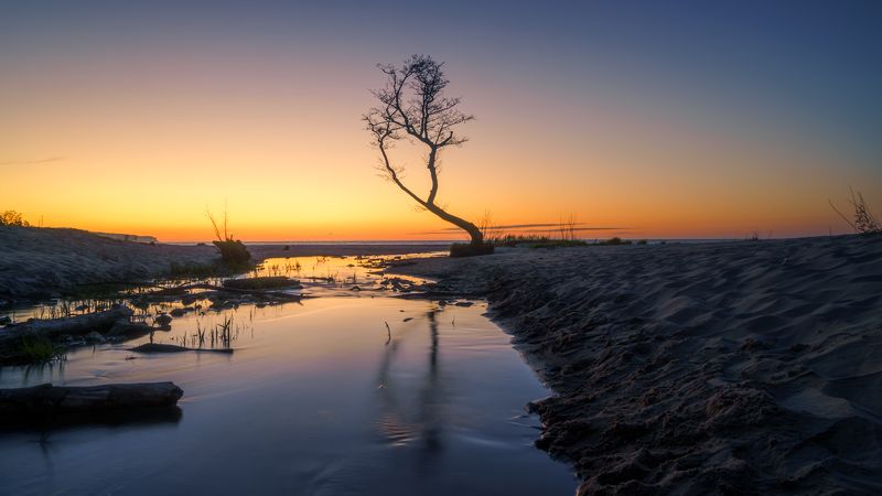 море, закат, дерево, река *photo preview