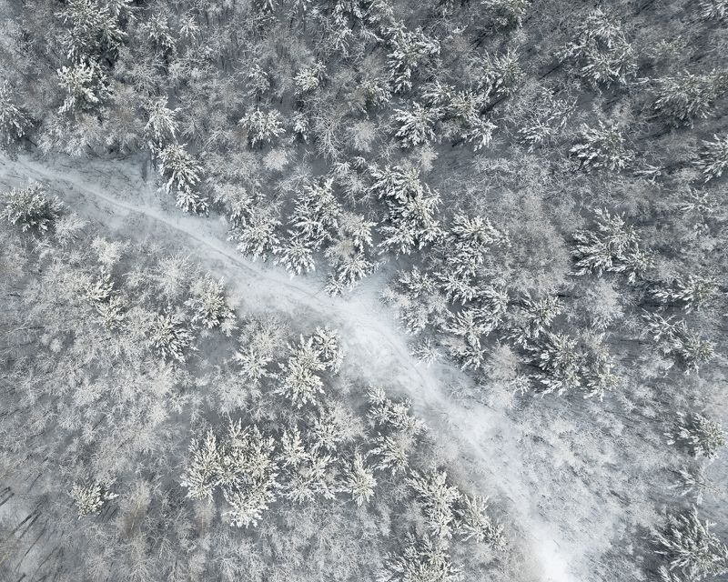 Белое утроphoto preview