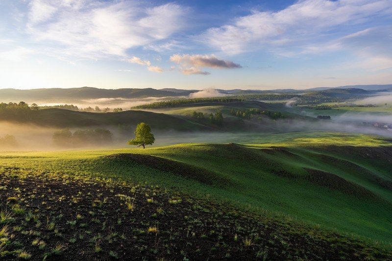 Туманное утроphoto preview