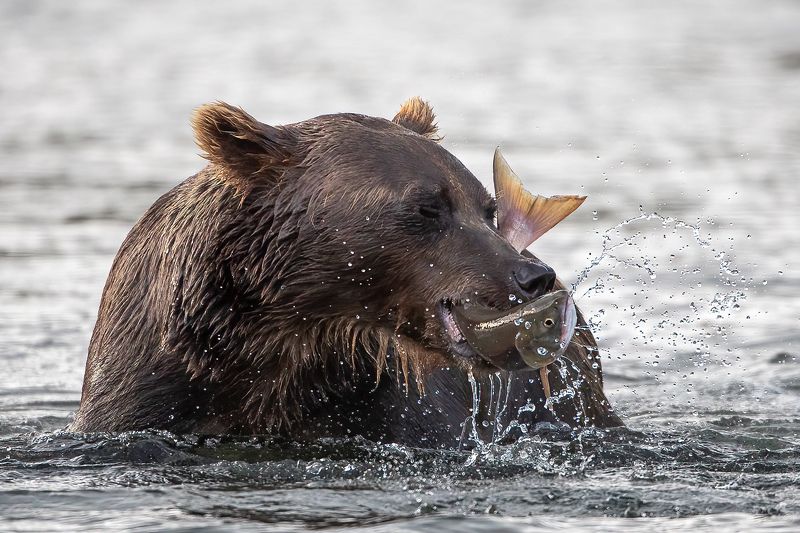 Блаженствоphoto preview