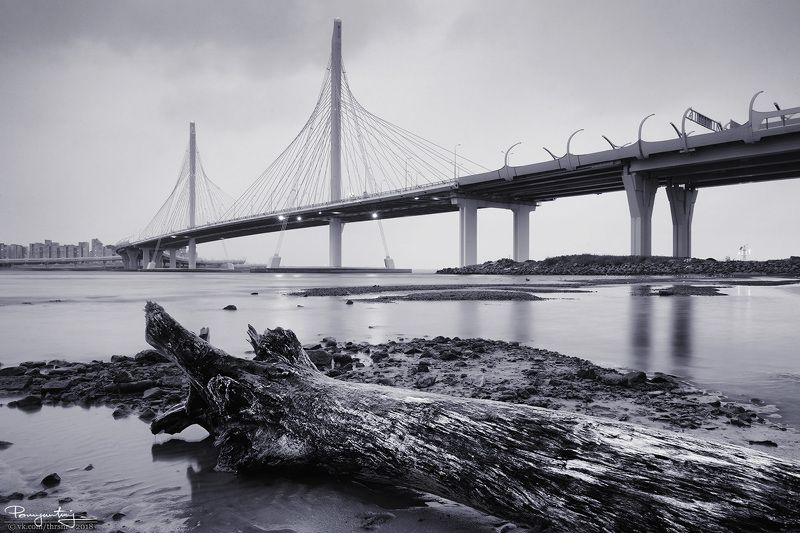 санкт-петербург, спб, мост, петровский, фарватер, зсд, западный, скоростной, диаметр На стыке мировphoto preview