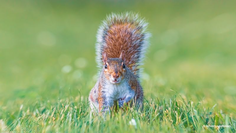 Face to face encounterphoto preview