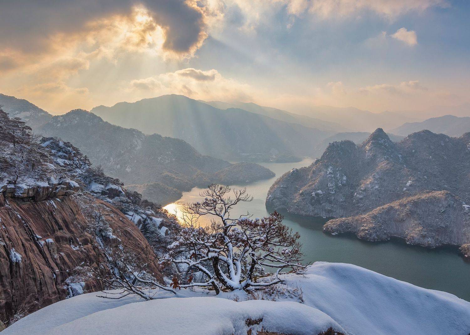 Winter morning of a dead tree. Автор: Jaeyoun Ryu , Jaeyoun Ryu