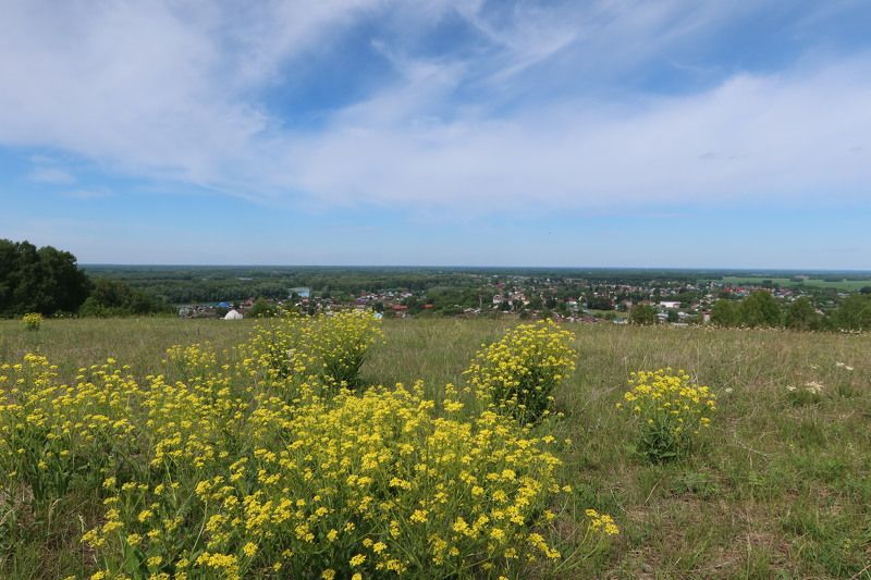 пейзаж,алтай.сростки,лето,цветы Сросткиphoto preview