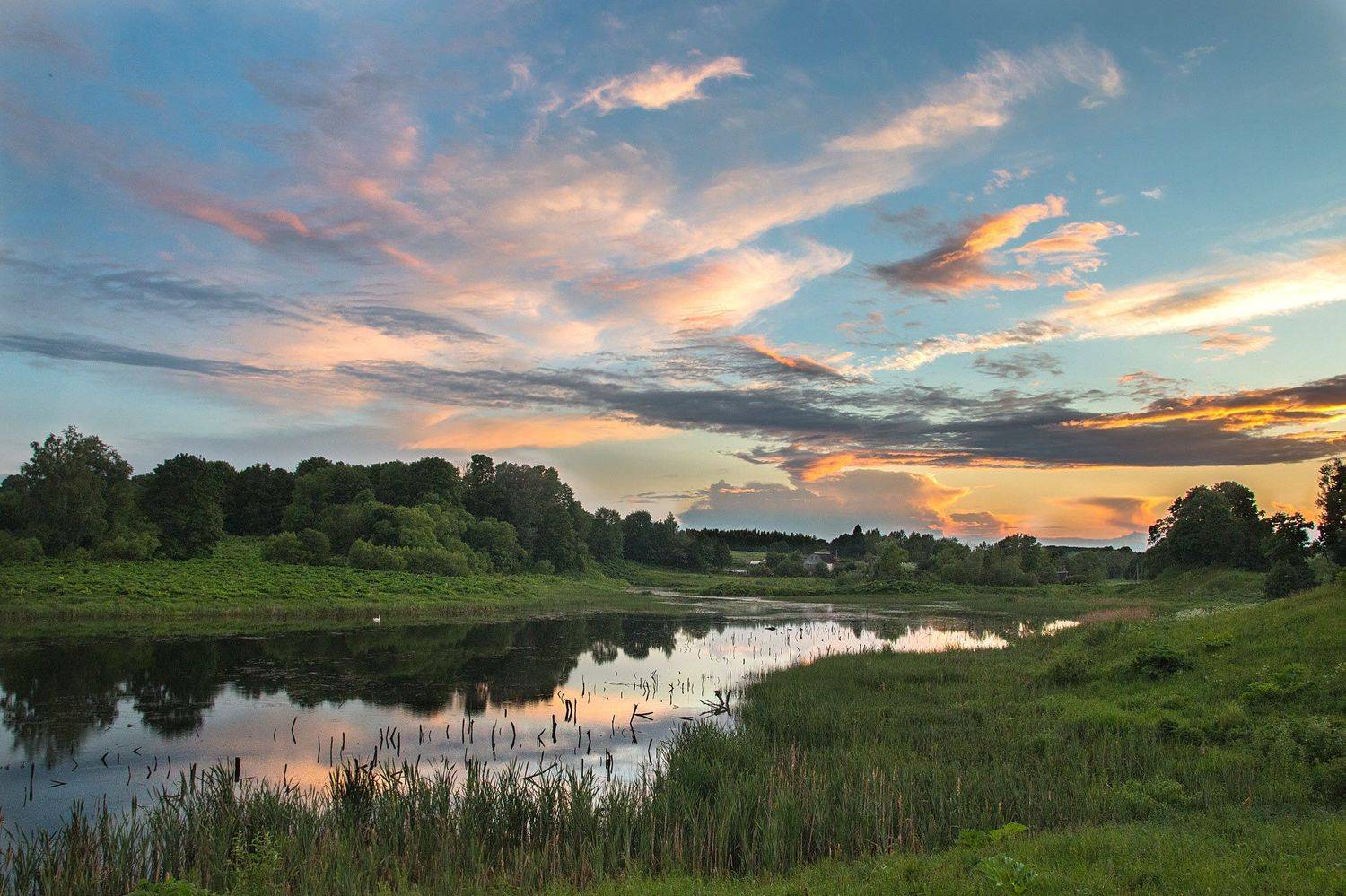 Закат с белым лебедем. Автор: Александр , Александр