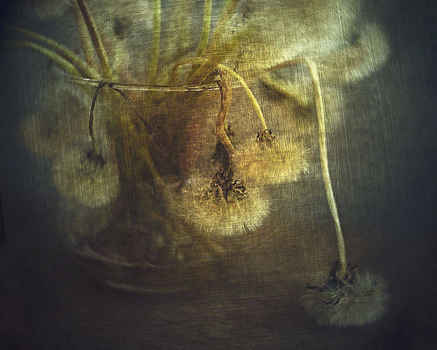 , Татьяна Аверина