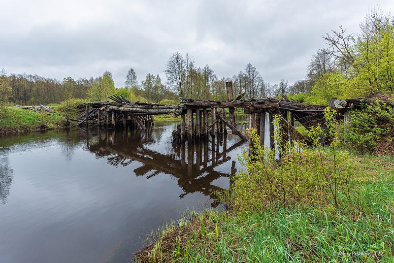 весна, весенняя река, разлив, отражения, графика крон, старица, первая зелень, сон-трава, мещёра, рязанская область. Мещёрские пейзажи начала маяphoto preview