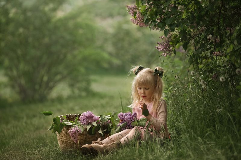 дети, девочка, сирень, природа,лето Алиса и сиреньphoto preview