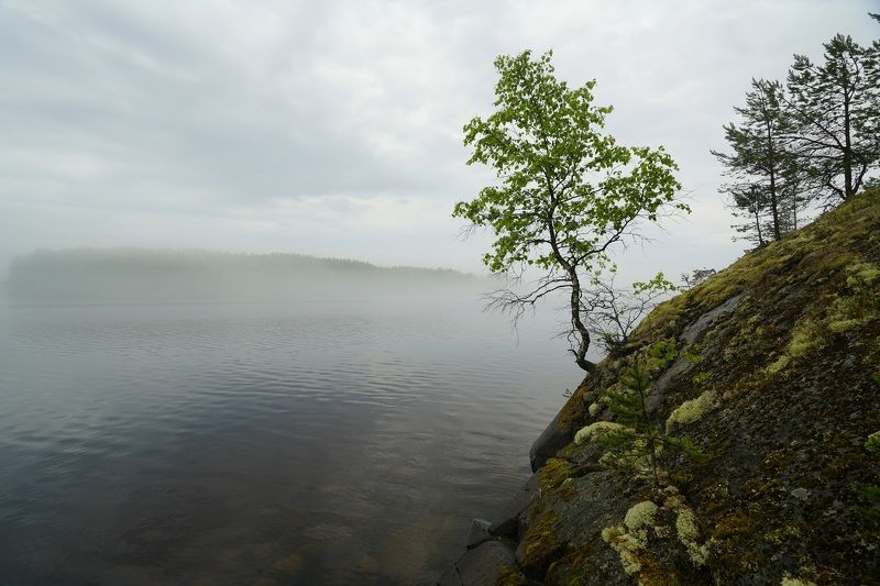 landscape, nature Lauvatsaariphoto preview