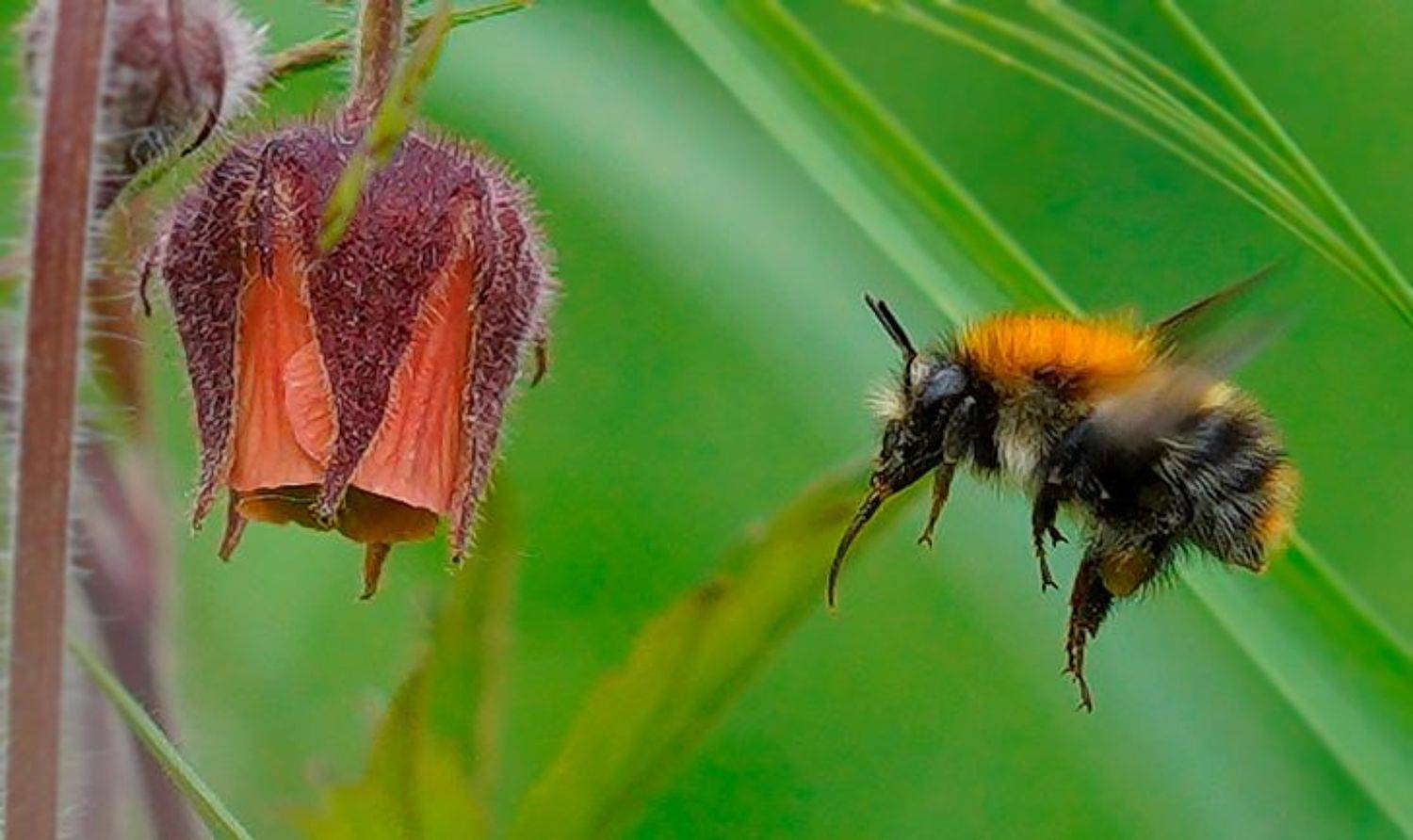 , Виталий Мазурин