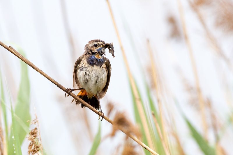 после дождяphoto preview