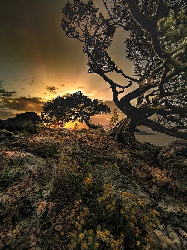 Крым Новый Свет Пейзаж Волшебство восхода photo preview