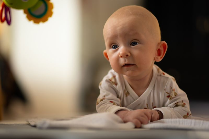 Внукphoto preview