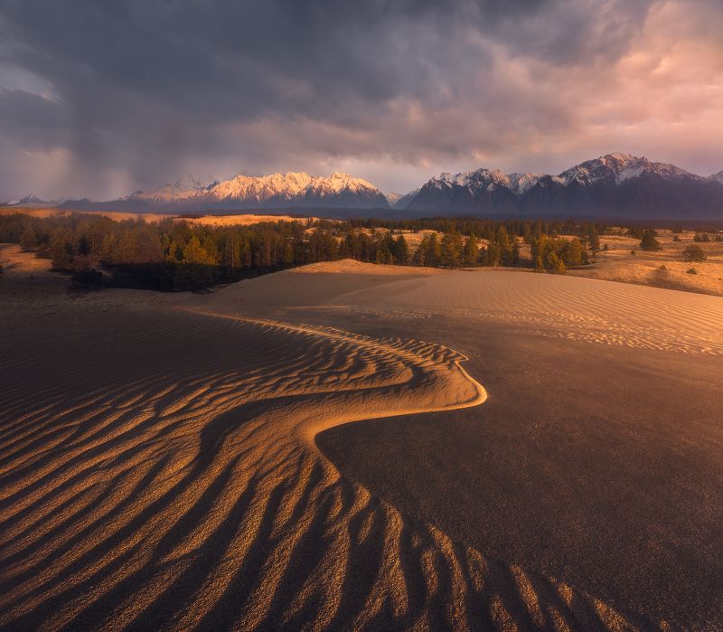 забайкалье, чара, пустыня, чарская пустыня, бархан, дюна, закат Рассвет в песках. Чарская пустыня.photo preview
