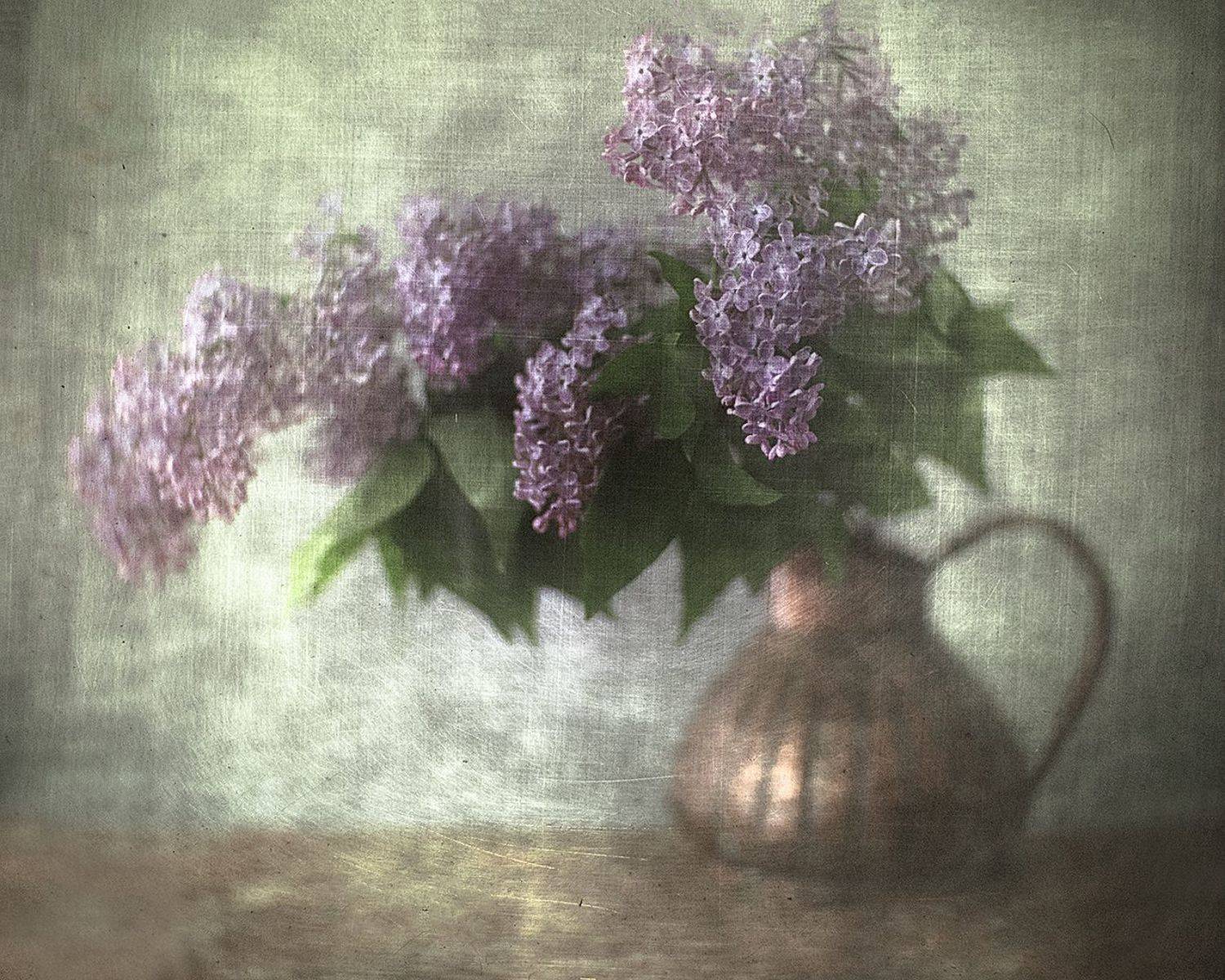 В сиреневой дымке тумана.... Автор: Татьяна Аверина , Татьяна Аверина