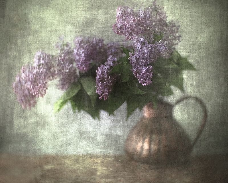 В сиреневой дымке тумана...photo preview