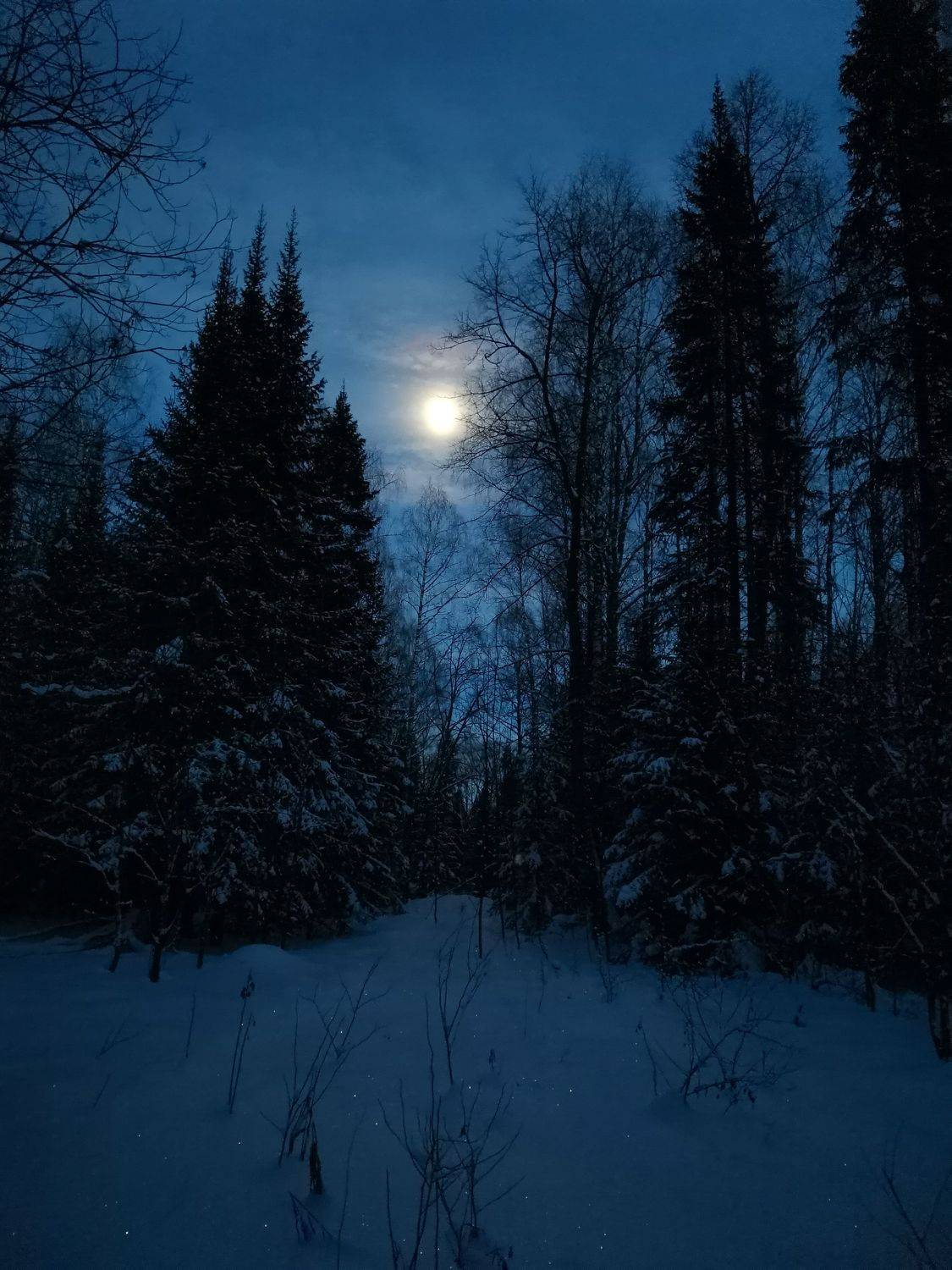 , Денис Туев