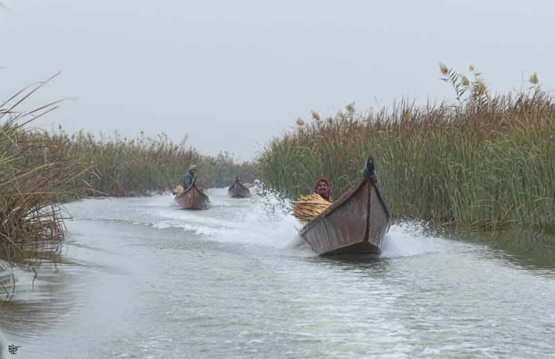 iraq Al-Jabayishphoto preview