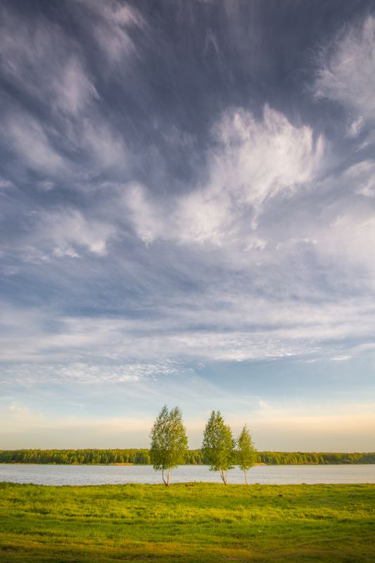 облака лето небо пейзаж Растрепало ветром облакаphoto preview