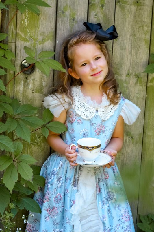 Алиса, страна чудес, сказка, игра Алиса в Стране Чудесphoto preview