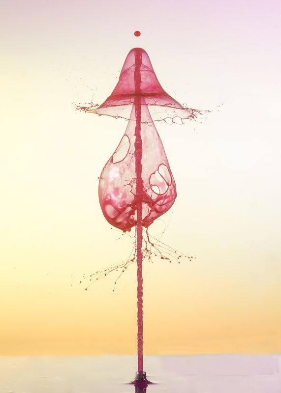 abstract,liquid,art,waterdrop,light,color,drop,macro, Red Beautyphoto preview