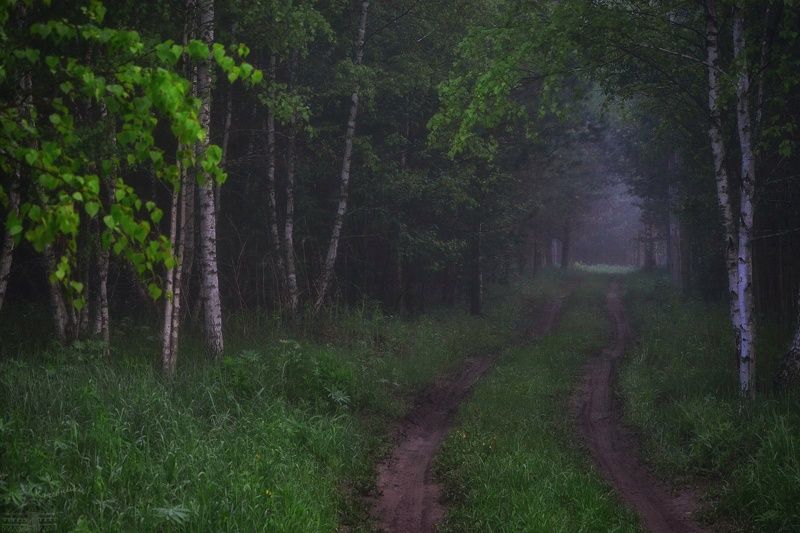 Дорога в туманphoto preview