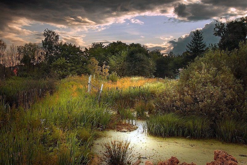 Июльским вечеромphoto preview