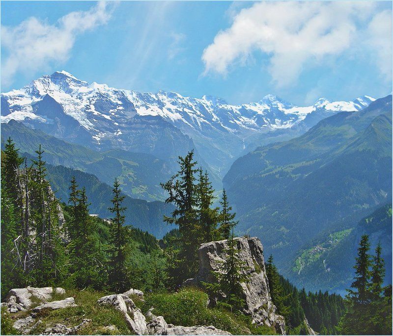 great silencephoto preview