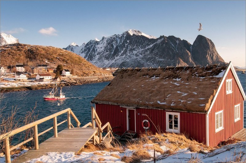 Жизнь вокругphoto preview