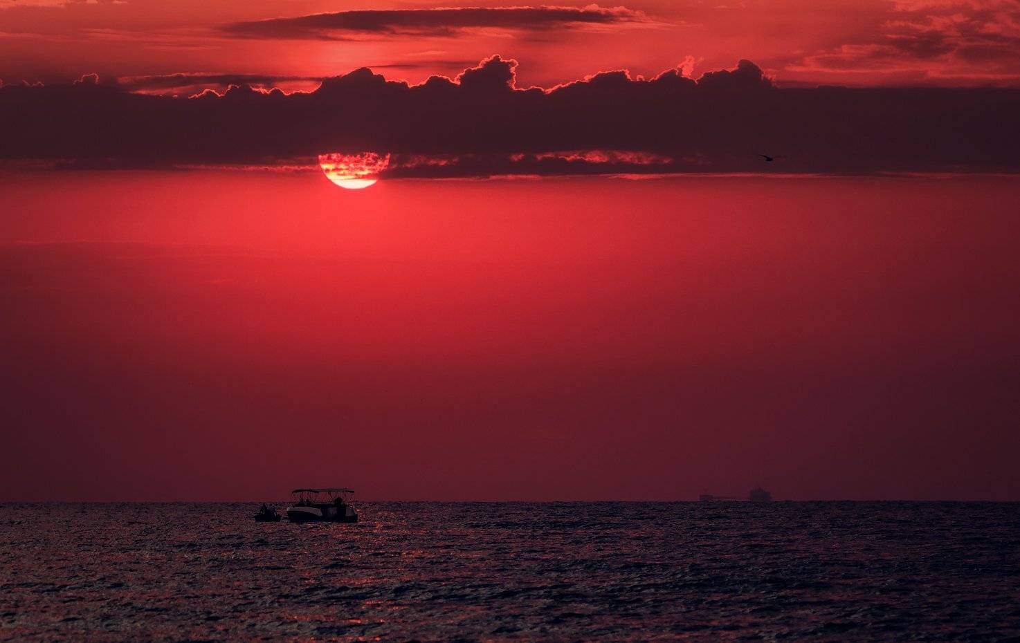 , Игорь Мелекесцев