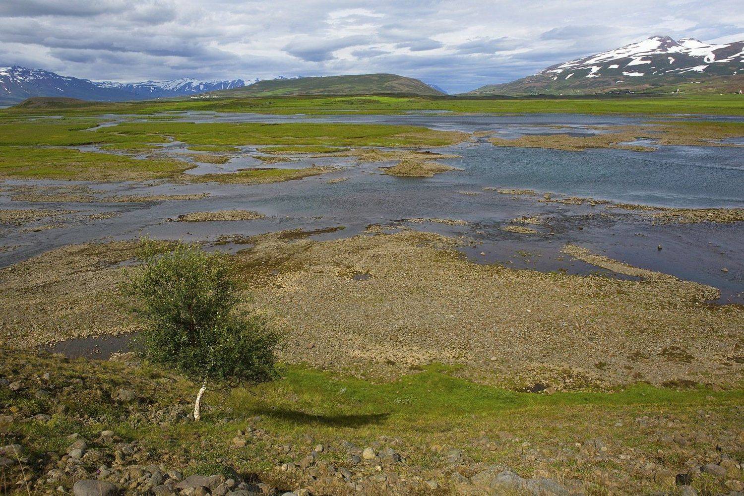 , Ирина Назарова