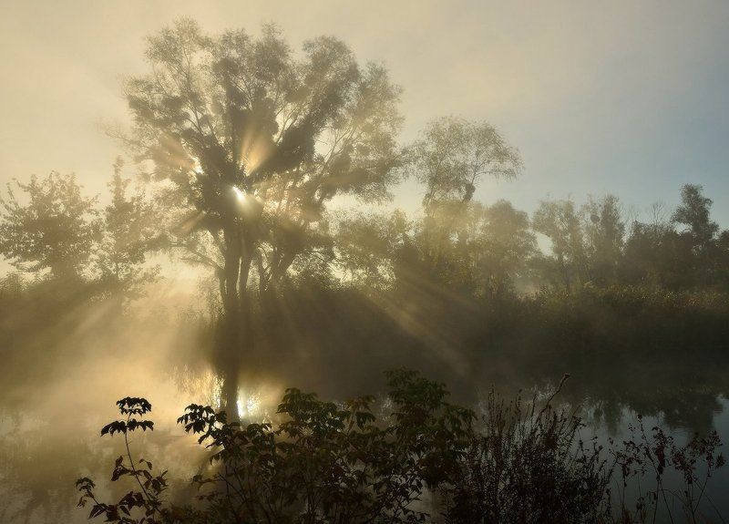Мгновенияphoto preview