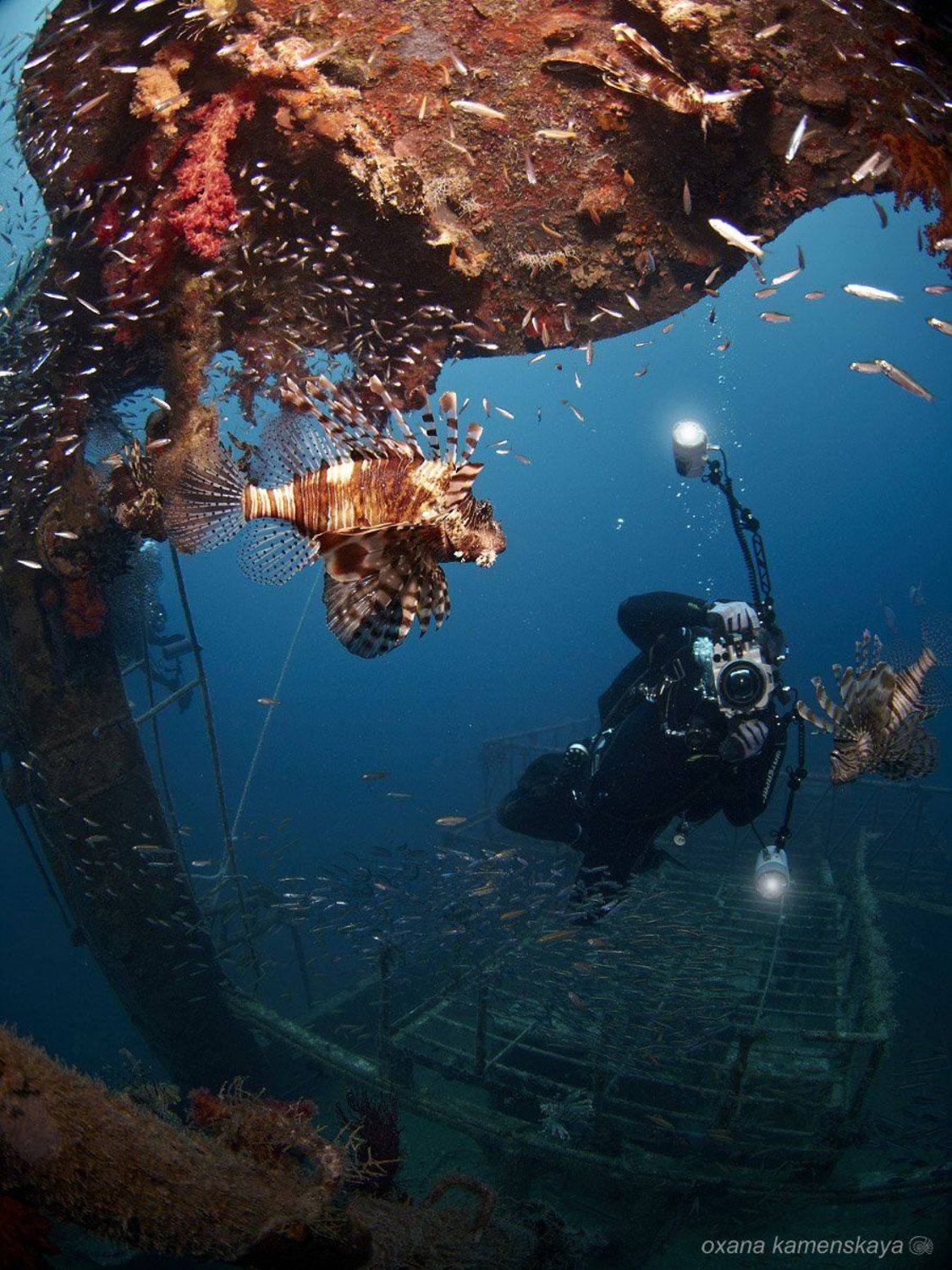 , Оксана Каменская