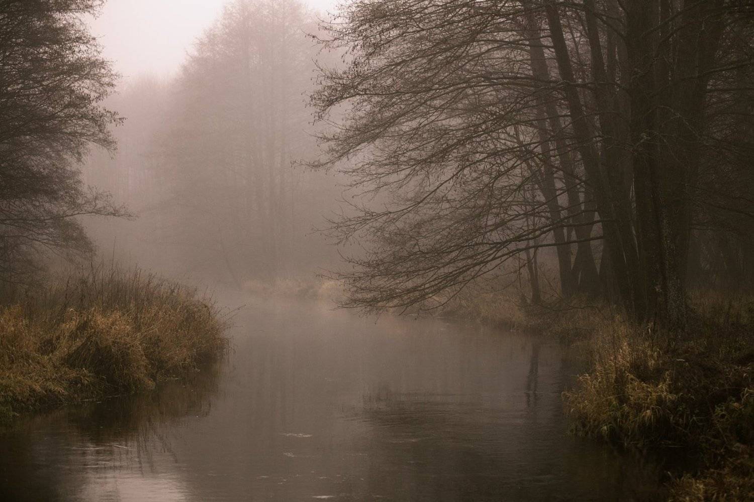 Туманная Сула. Автор: Евгений Матюшенков , Евгений Матюшенков
