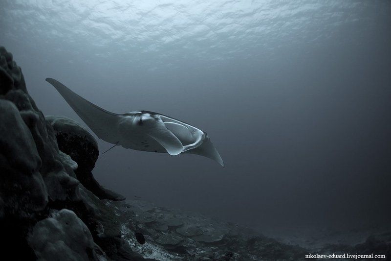 Прогулка.photo preview