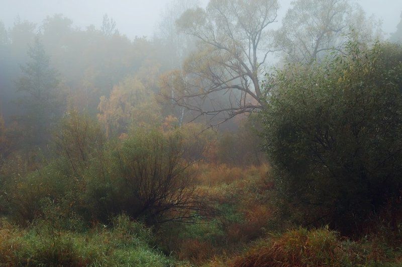 Осень. Снова и снова. Всё ближе и ближе. Зима.photo preview
