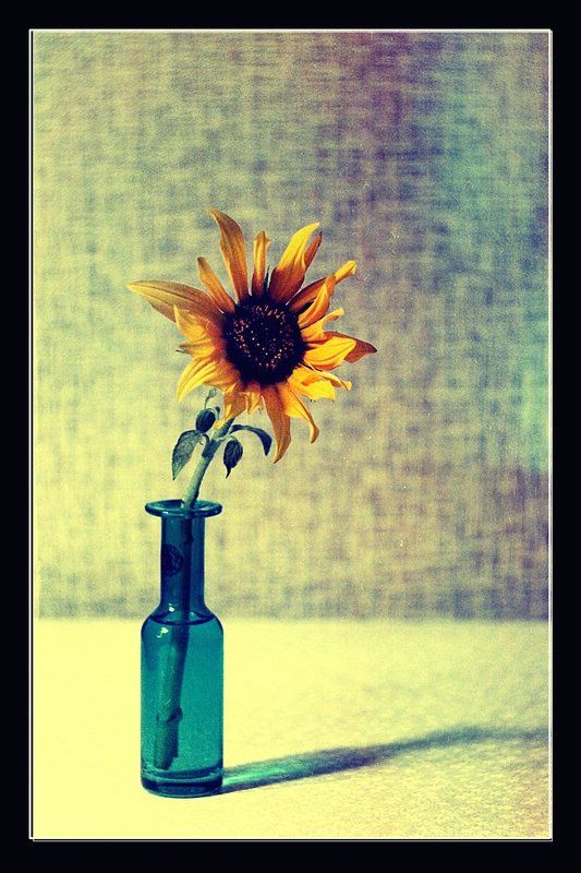 - фото превью