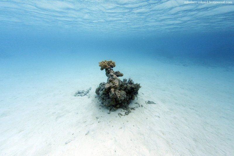 _______________________________________photo preview