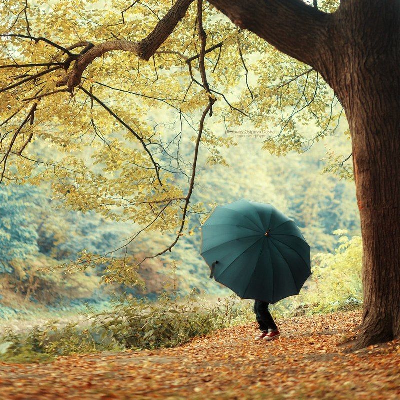 Осеньphoto preview