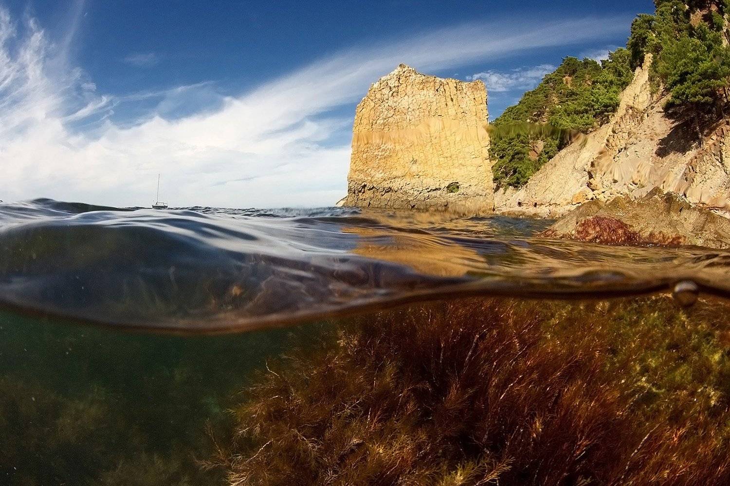 , Никифоров Егор