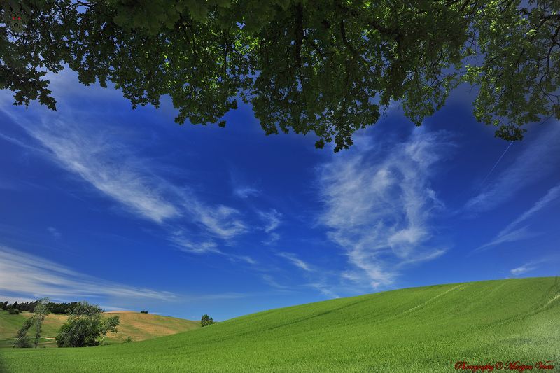 Ispod Krošnjephoto preview