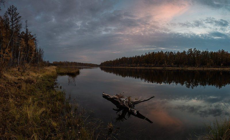 Закатная с корягойphoto preview