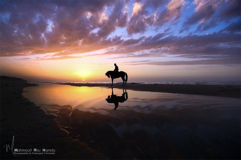 Beach, Horse, Horses, Rides, Sea, Sunsets Horsephoto preview