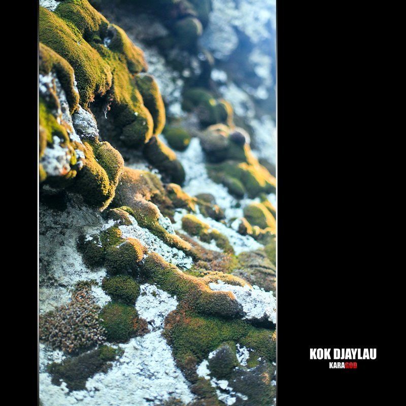 Кок Жайляу \\ Казахстанphoto preview