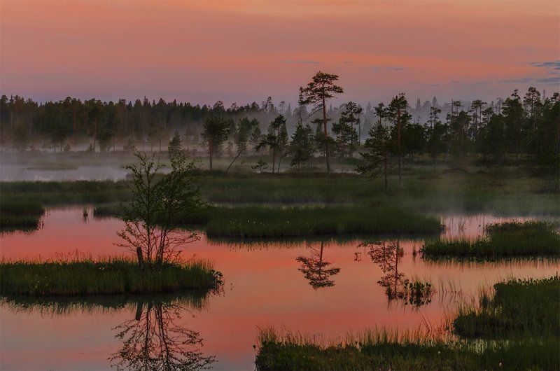 Восход, Карелия, Лето, Пейзаж, Природа, Путешествие, Рассвет, Туман, Утро ***photo preview