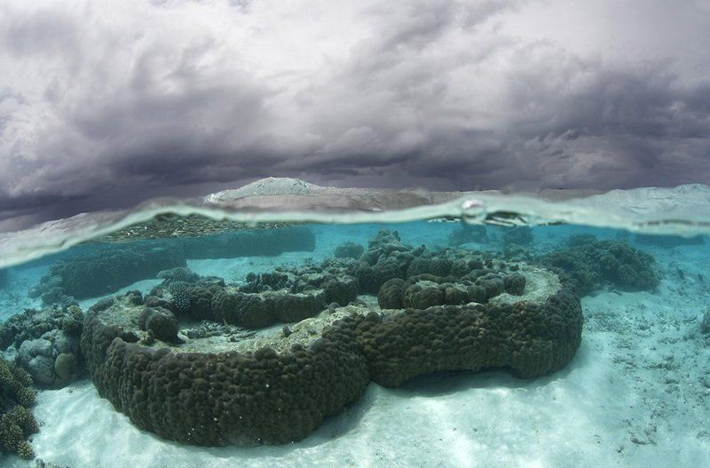 Сплитphoto preview