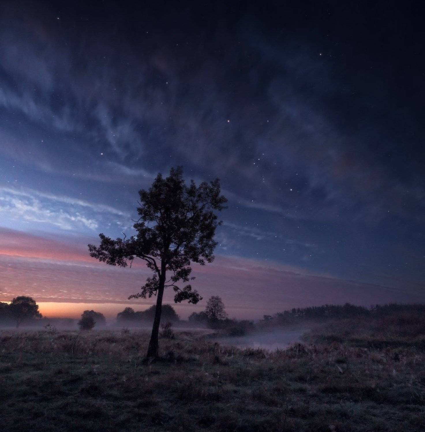 Звездная ночь на Немане. Автор: Алексей Угальников неман, звезды, орион, дуб, осень, ночь, Алексей Угальников