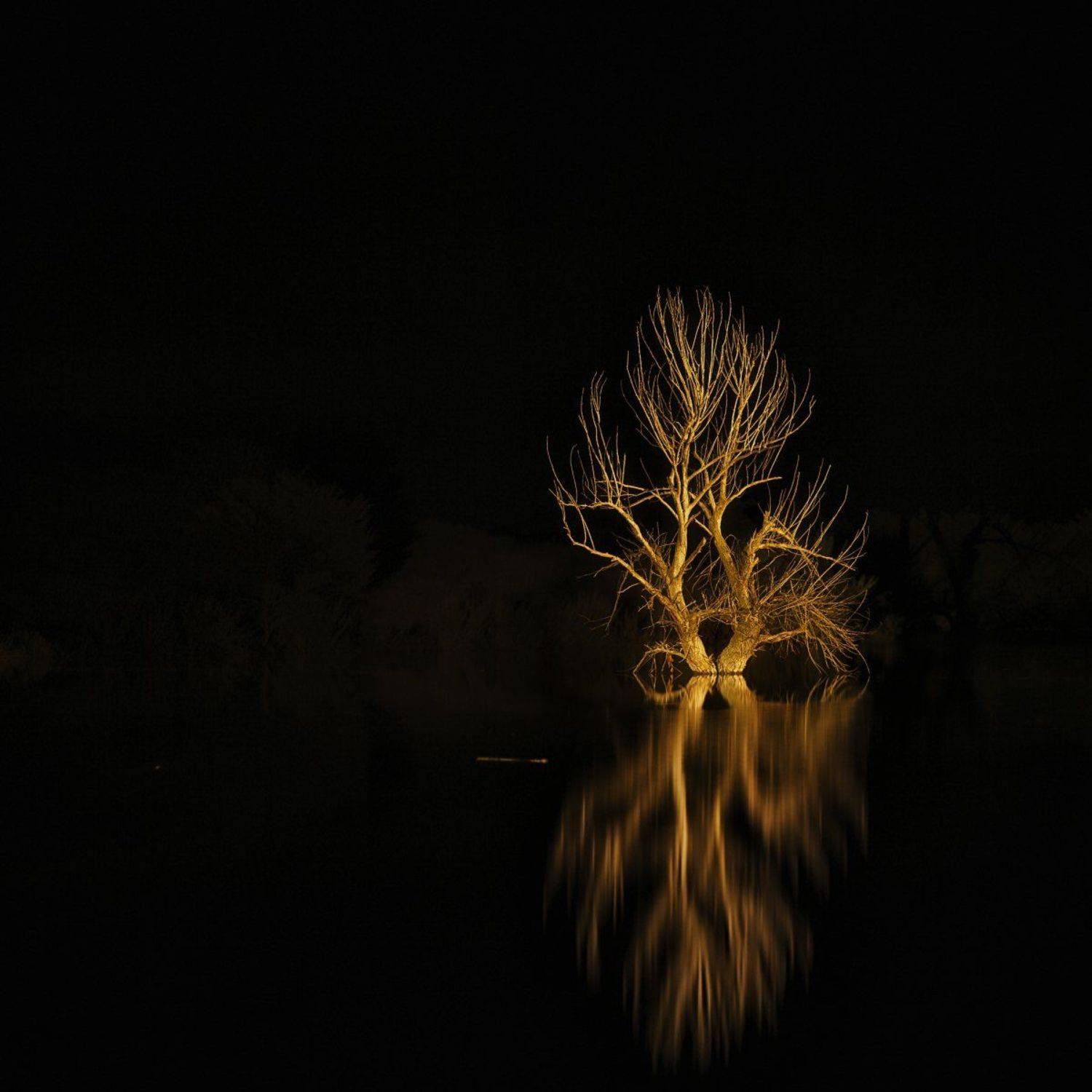 ***. Автор: Sergey Braga , Sergey Braga