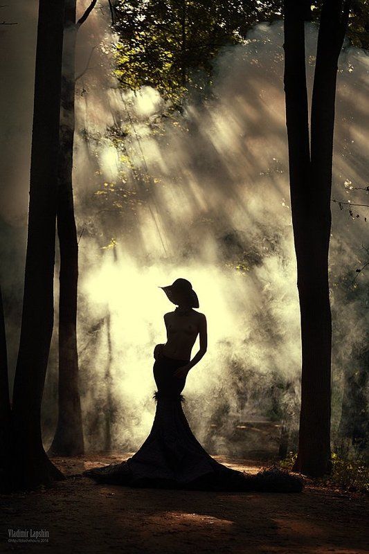 На темных аллеях фото превью