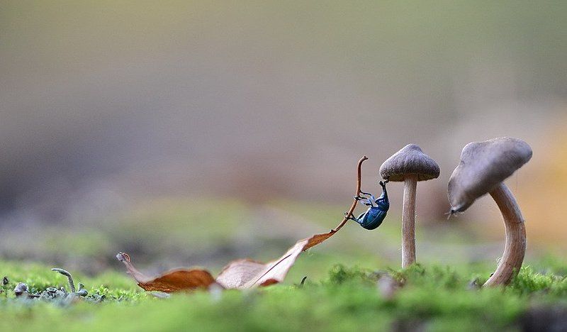Вот долезу и скажу: - довольно, милая... Тут сорвался вниз, но....photo preview